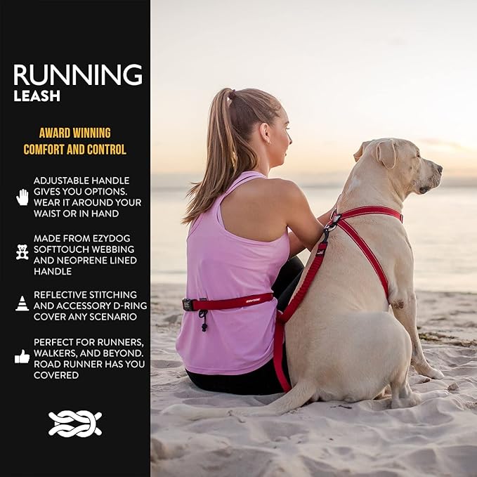 EzyDog Road Runner LITE Hands Free Dog Leash for 26lbs or Less – Waist Leash for Dog Walking, Jogging and Running with Zero Shock Bungee, Reflective Stitching, and Adjustable Waist (Lite, Black)