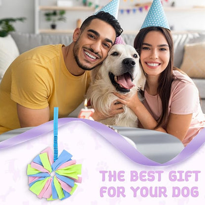 Dog Tug Toy, Bungee Dog Rope Toys, Interactive Tug of War Rope Toys for Training and Playing Games, Puppy Training Pull Toy for Small Medium Dogs