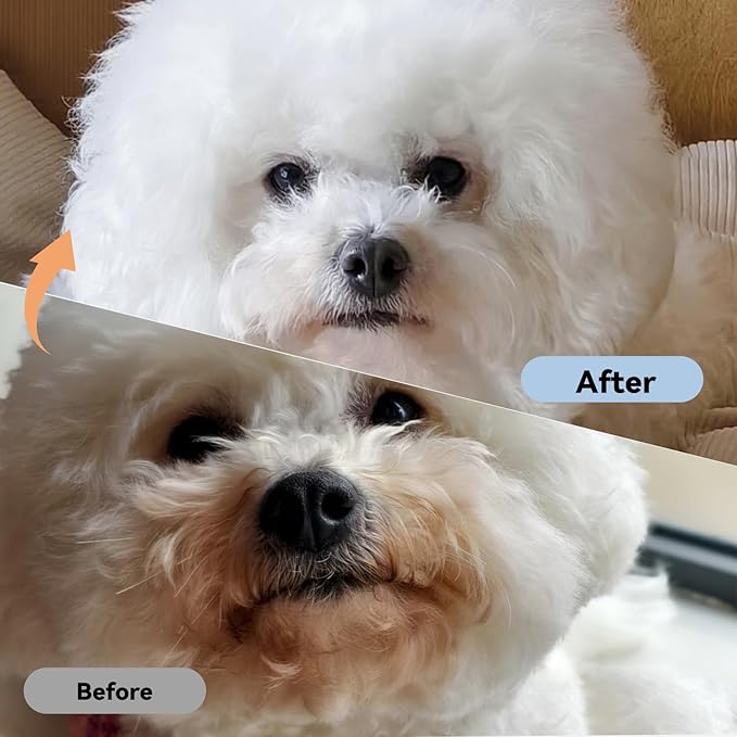 2 Pack Professional Pets Eye Combs,Pets Grooming Comb Kit,Stainless Steel Tear Stain Remover for Cats & Dogs,Flea Lice Comb,Gentle Curved Comb Teeth,Precisely Removes Stains (Pet comb set)
