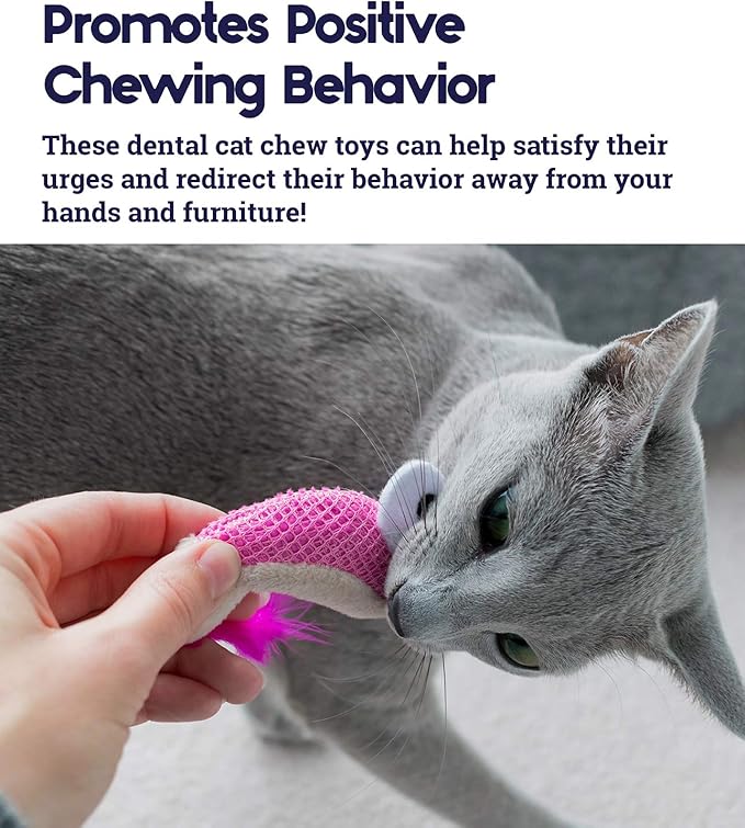 Catstages Petstages Dental Shrimpies Catnip Cat Chew Toy - 2 Pack