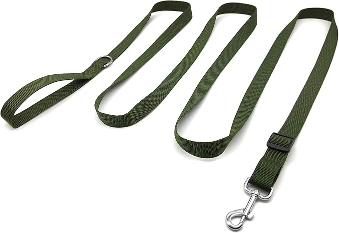 TAIAN Adjustable Nylon Dog Leash, 6FT/10 FT Long Dog Leashes for Small Medium Large Dogs (1 in x 10 ft, Green)