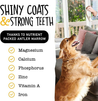 Snatchers Elk Antlers for Dogs – Long Lasting Dog Chews and Dog Toys for Aggressive Chewers, Naturally Shed Deer Antlers for Dogs Processed in The USA, No Additives (Small 4-5", 1 Count)