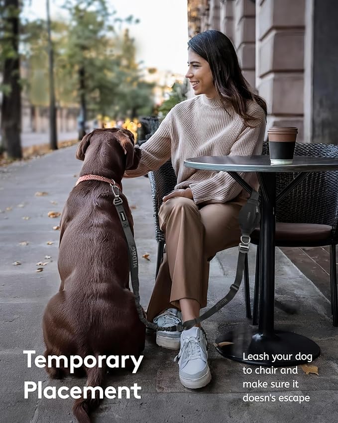MIDOG Multifunctional Dog Leash Hands Free for Large Dogs - Adjustable Waist Leash with Zipper Pounch& Bungee Cord for Jogging/Running/Walking(4-7FT,Black)
