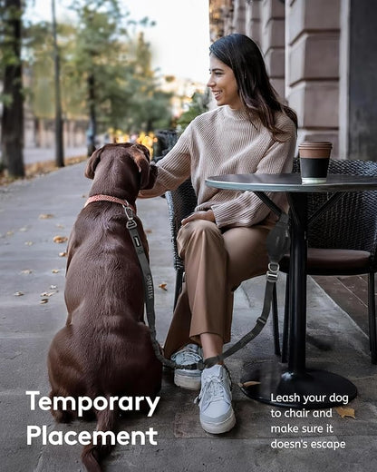 MIDOG Multifunctional Dog Leash Hands Free for Large Dogs - Adjustable Waist Leash with Zipper Pounch& Bungee Cord for Jogging/Running/Walking(4-7FT,Black)