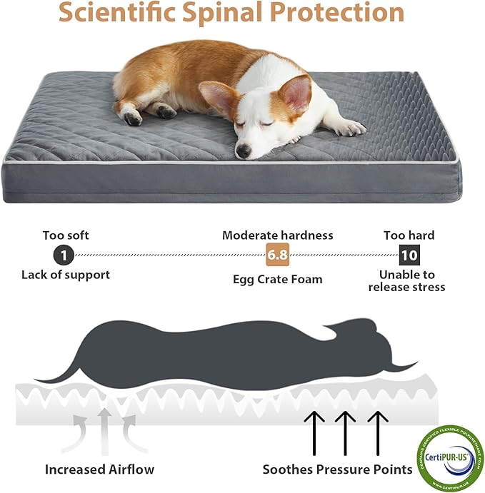 WNPETHOME Orthopedic XL Dog Beds Large Sized Dog, Waterproof Extra Large Dogs Bed with Removable Washable Cover, Multi-Needle Quilting Dogs Crate Bed