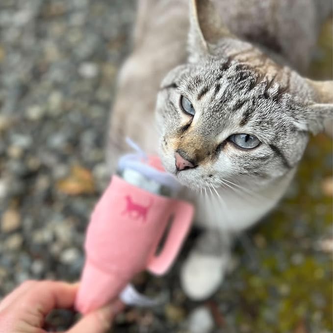 Kitty Cup Catnip Toy - Easter & Birthday Cat Gift Toy with Catnip & Crinkle, Funny Gift for Girl Indoor Kitten (Pink Peach Dust)