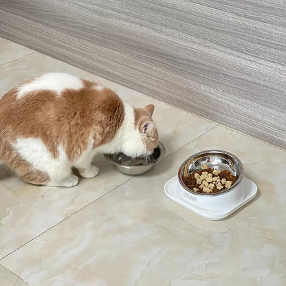 Cat Bowls Elevated Tilted Whisker Friendly, Cat Food Bowls for Indoor Cats, Shallow Food Dishes Stainless Steel, Slanted Flat Plastic Feeder Elevated Angled Design.(White)