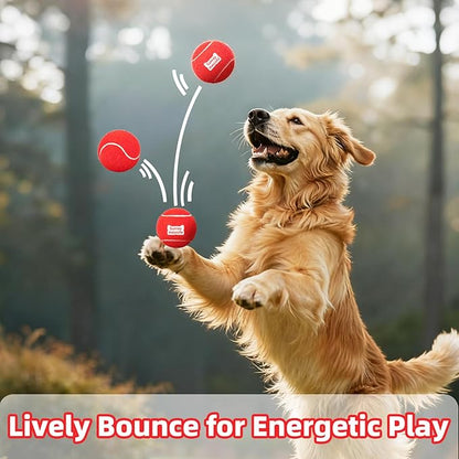 2.5" Dog Tennis Balls 6-Pack Silent Bounce, Tough Rubber Core, Durable Fetch & Training Toys for Indoor/Outdoor Play, for Small Medium Large Dogs (Burgundy Red, 6 Pack)