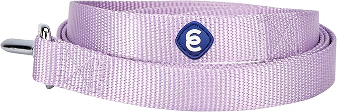 Blueberry Pet Essentials Lavender Dog Leash for Large - 4' * 1" Dogs | Heavy Duty Nylon Lead | Lightweight Puppy & Cat Leash for Walking & Training