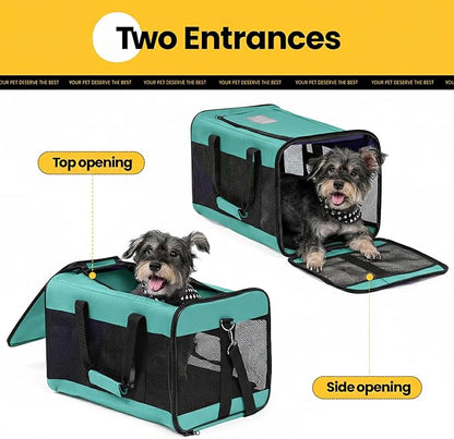 Dog Carrier Soft Sided, Large Cat Carrier with Inner Safety Leash, Pet Transport Carrier for Large Cats and Medium Dogs up to 20 Lbs, Collapsible Travel Puppy Carrier Bag -Turquoise L