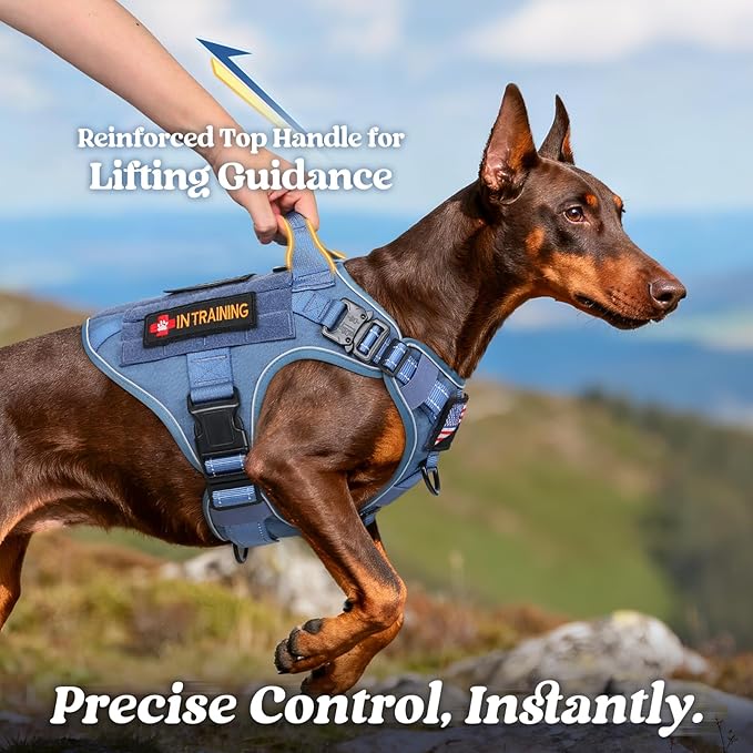 rabbitgoo Tactical Dog Harness Medium Sized, No Pull Upgraded Reflective Heavy Duty Molle Vest with Handle, Adjustable Military Service Dog Vest for Walking Hiking Training, Blue, M