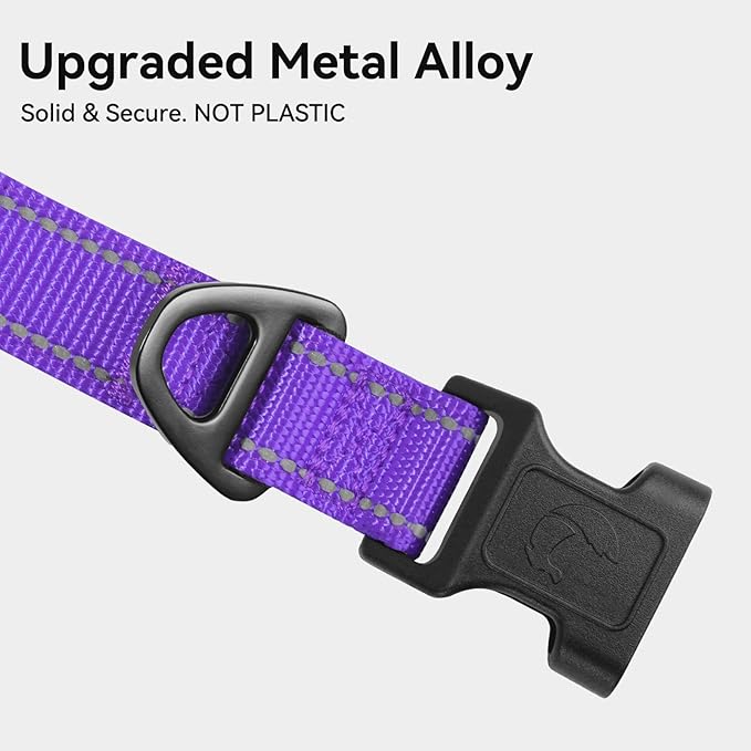 Joytale Reflective Dog Collar, Soft Neoprene Padded, Metal D-Ring, Nylon Pet Collar Adjustable for Puppy and Small Dogs, Purple, XS