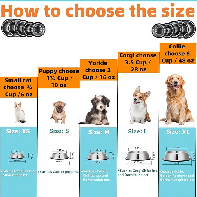 2 Pack Stainless Steel Dog Bowls with Rubber Bottom,Anti-Slip Heavy Duty Premium Quality Pets Feeder Bowls for Dogs and Cats and More (¾Cup / 6oz)