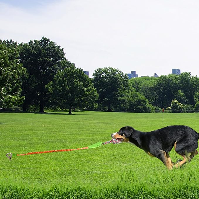 Outdoor Dog Toy with Stake,Interactive Dog Toy for Aggressive Chewer, Tug of War Toy Ball for Large Breed (Orange)