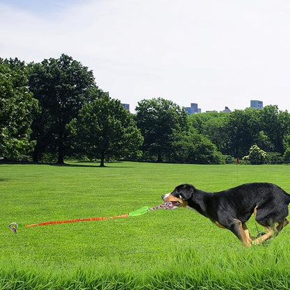 Outdoor Dog Toy with Stake,Interactive Dog Toy for Aggressive Chewer, Tug of War Toy Ball for Large Breed (Orange)