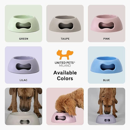 United Pets Pappy Dog Bowl for Dogs and Cats | BPA Free Premium Water and Food Pet Bowls Feeder for Small to Medium Pets | Eco Friendly & Pet Safe Food Grade Materials | Made in Italy | Green -12 Oz