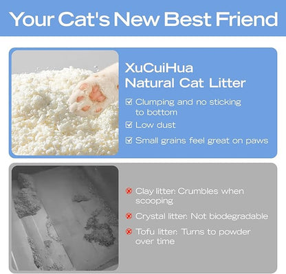 Natural Cat Litter Unscented, 100% Plant-Based, Strong Clumping Litter, Easy Scooping, Clumps Lift Cleanly, Chemical-Free, Low Dust, Corn & Cassava Litter, 5.5 LB