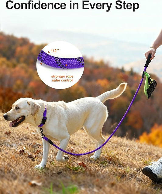Joytale Dog Leash for Large Dogs, Heavy Duty Nylon Leashes with Comfortable Padded Handle and Highly Reflective Threads, Ideal for Walking and Training, Purple, 6'×1/2''