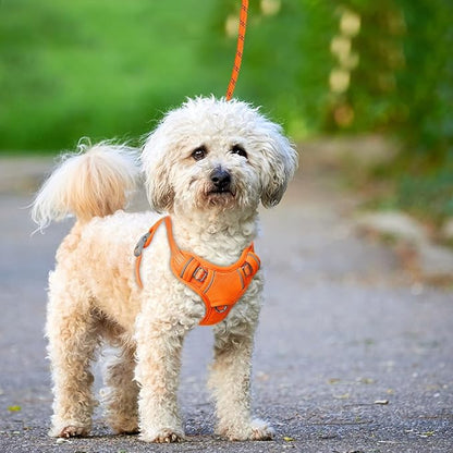 BARKBAY No Pull Dog Harness Large Reflective Dog Harness with Front Clip and Easy Control Handle for Walking Training Running with ID tag Pocket(Orange,S)