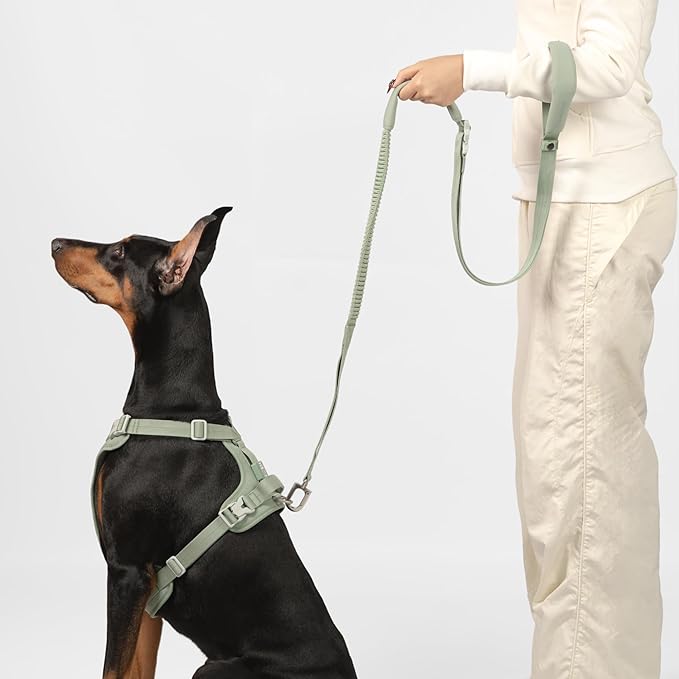Hands Free Dog Leash Adjustable Versatile Crossbody Waist Dog Leash Reflective Comfortable Padded Handles Shock Absorbing Walking Lead for Small Medium Large Dogs (Light-Burgundy, M)