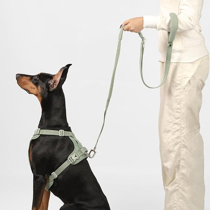 Hands Free Dog Leash Adjustable Versatile Crossbody Waist Dog Leash Reflective Comfortable Padded Handles Shock Absorbing Walking Lead for Small Medium Large Dogs (Super Reflect-Earth, S)