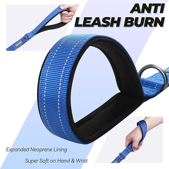 VIVAGLORY Dog Leash Twingrip Double Handle Dog Leash with Traffic Handle Control & 2 Loop for Walking & Training, Reflective Heavy Duty for Puppy Pet Collar, 5ft x 1in, Blue