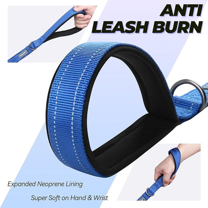VIVAGLORY Dog Leash Twingrip Double Handle Dog Leash with Traffic Handle Control & 2 Loop for Walking & Training, Reflective Heavy Duty for Puppy Pet Collar, 5ft x 1in, Blue