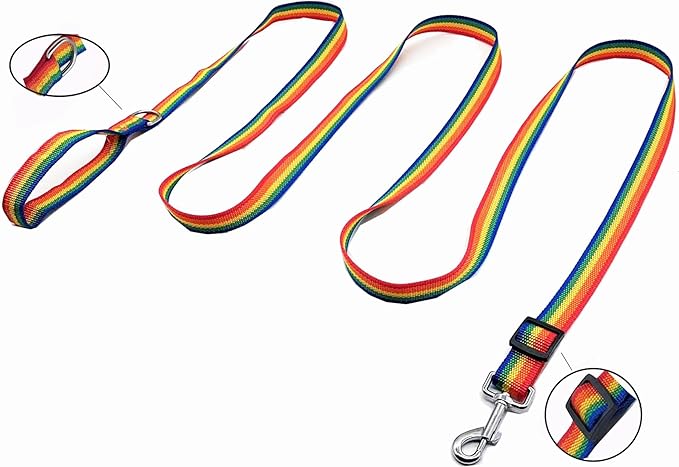 TAIAN Adjustable Nylon Dog Leash, 6FT/10 FT Long Dog Leashes for Small Medium Large Dogs (1 in x 10 ft, Rainbow)