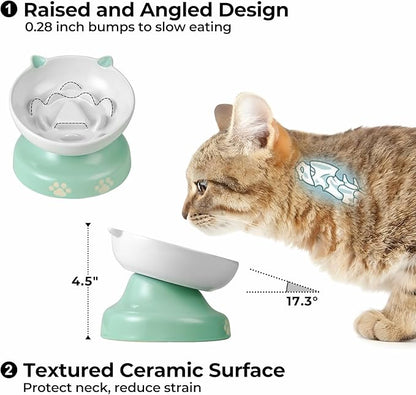 Y YHY Slow Feeder Cat Bowl, Ceramic Elevated Cat Bowl Tilted Design Slow Feeder for Dog and Cat for Dry and Wet Food, Green