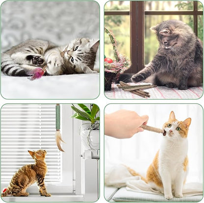 Bissap 16 PCS Silvervine Chew Sticks for Cats, Catnip Chew Sticks Cat Toys for Indoor Cat Kitten Teeth Grinding Interactive Feather Toys for Aggressive Chewers Dental Care