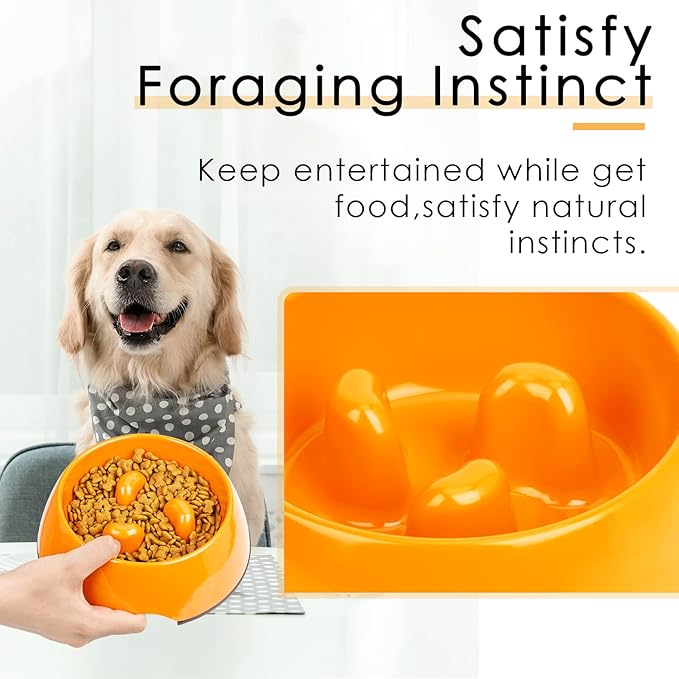 Super Design Slow Feeder Dog Bowl, 1.5 Cup, Non-Slip, Heat-Resistant, Suitable for Medium to Large Dogs