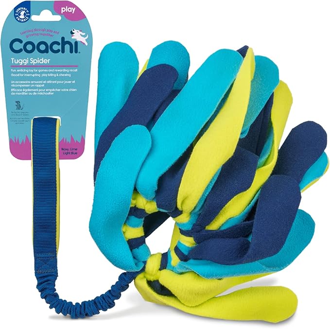 Coachi Tuggi Spider - Interactive Dog Toy for Tug of War & Play. Strong & Comfortable, Stretchy Bungee Handle, Reward Training, Interrupting Biting & Chewing. Ideal for Agility & Suitable for Puppies