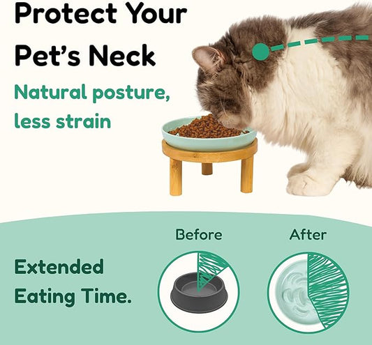 Slow Feeder Bowl, 6.3″ Elevated Cat Bowl with Stand, Melamine Wide Shallow Food Bowl, Whisker-Friendly Raised Plate, Wet Food Feeder for Slow Eating (Green)