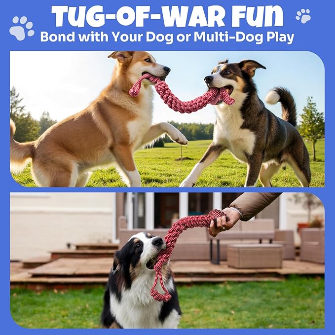 Interactive Dog Flying Disc and Rope Toy – 2-in-1 Toy for Medium and Large Dogs Outdoor Training and Fetch in Blue and Red
