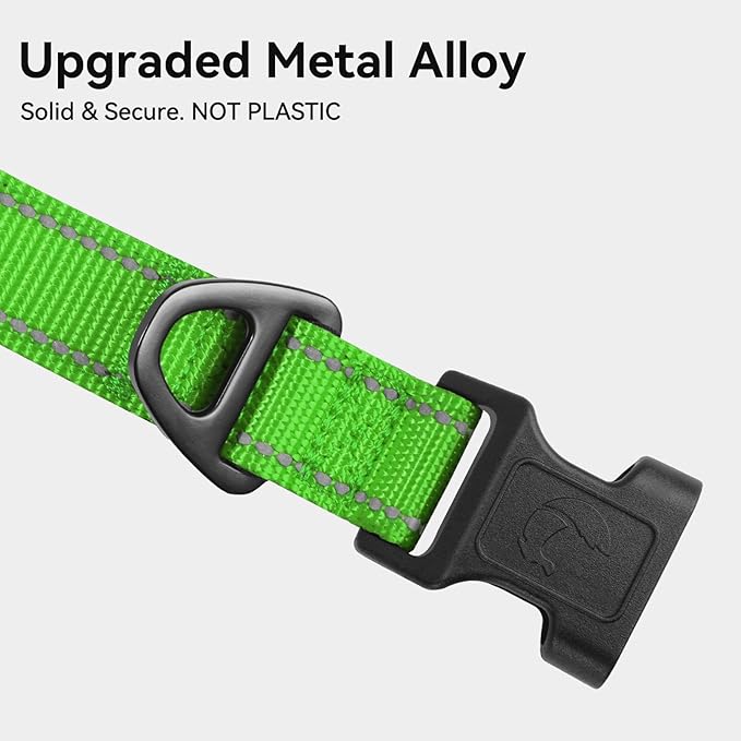 Joytale Reflective Dog Collar, Soft Neoprene Padded, Metal D-Ring, Nylon Pet Collar Adjustable for Medium Dogs, Green, M