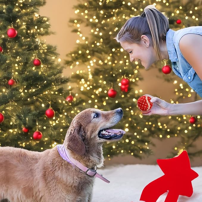 LUCKITTY 3 Packs Christmas Dog Tennis Balls Interactive Toy Puppy for Small Medium Dogs Training Playing- Santa Claus Patterns 2.5 Inch