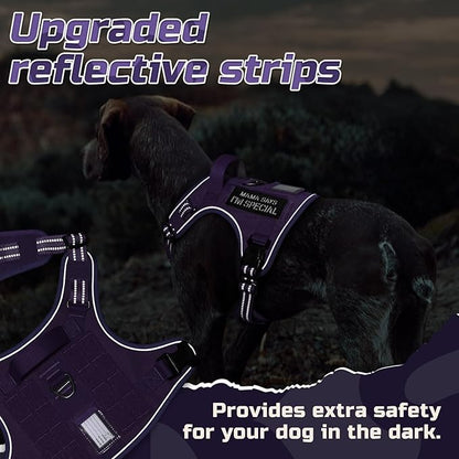 rabbitgoo Tactical Dog Harness for Large Dogs, No Pull Military Service Vest with Handle & Molle, Easy Control for Training Walking, Adjustable Reflective Straps, Purple, XL