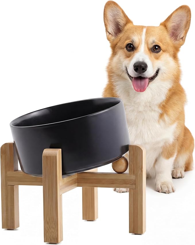 hjn Elevated Ceramic Dog Bowl/Raised Ceramic Dog Bowls with Bamboo Stand, 15°Slanted Raised Pet Feeder for Small Medium Dogs and Cats, Non-Slip Heavy Weighted Design (Black, 3.6Cup)