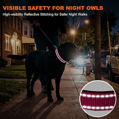 Taglory Reflective Dog Collar with Safety Locking Buckle, Soft Neoprene Padded Dog Collar for Extra Large Dogs, Metal D-Ring, Adjustable Nylon Neck Strap for Walking, Training & Running, Hot Pink, XL
