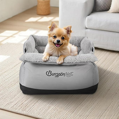 BurgeonNest Dog Car Seat for Small Dogs up to 25 lbs - Washable Pet Booster Seat with Safety Leash & Storage Pockets, Grey