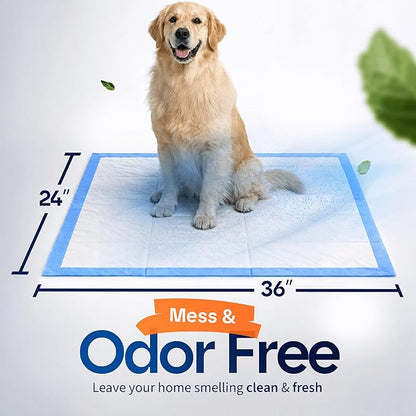 Healqu Puppy Pads - 50-Count, 24x24 - Advanced Leakproof Technology for Housebreaking & Training - Ultra Absorbent Puppy Pee Pads - Ideal for Dogs, Puppies, Cats - Attractant Pet Training Pads