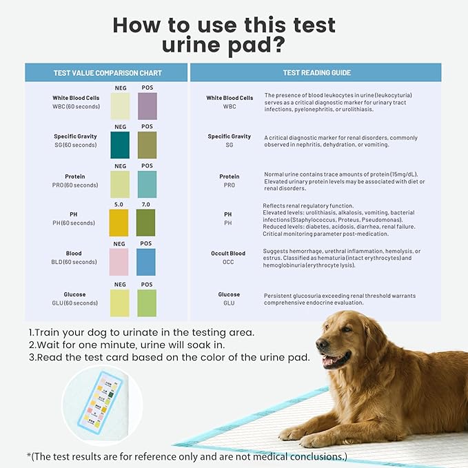 Gardner Pet Ultra Absorbent Thicker Dog Pee Pads Extra Large XL 28"x34" Leak-Proof Odor-Control Blue Puppy Training Pads Full Edge-Wrapping Pad for Dogs Dogs, Puppies, Doggie, Cats, Rabbits (30&1)