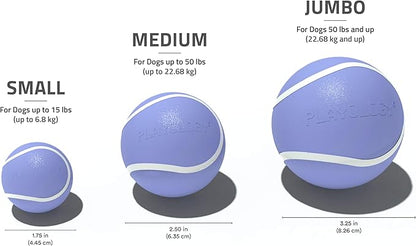 Playology Dog Toys | Squeaky Chew Ball - Bouncy Durable Floating Fetch Ball for Dogs | Jumbo Blueberry Scented Toy - Easy to Clean and Made from Non Toxic Materials