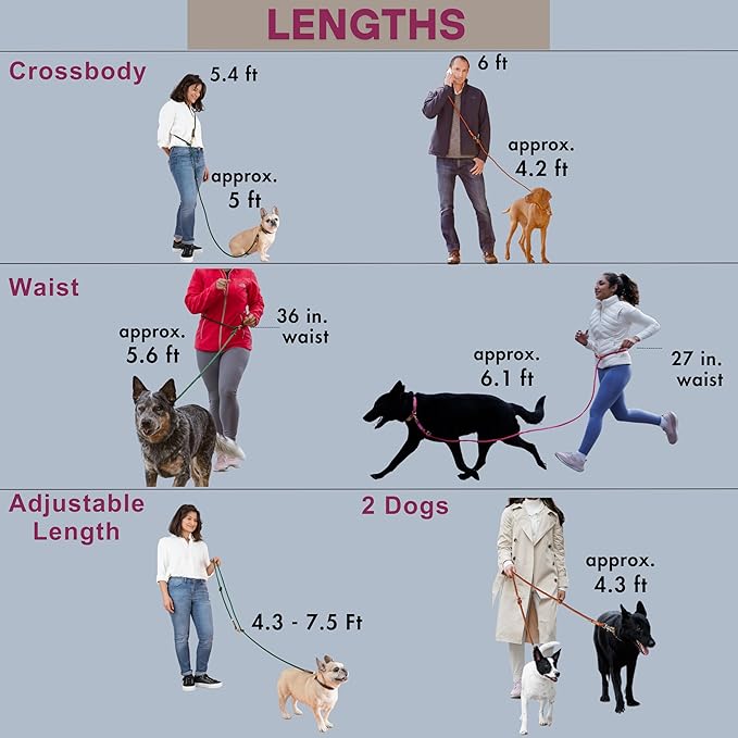 Hands Free Dog Leash, Waist Leash for Dog Walking, Crossbody, Multifunctional, Dog Lead, Running, 2 Dogs, Dual Handle, Traditional Lead, Adjustable Lead 4.3ft - 7.5ft, 3/8" (10mm) Diameter.