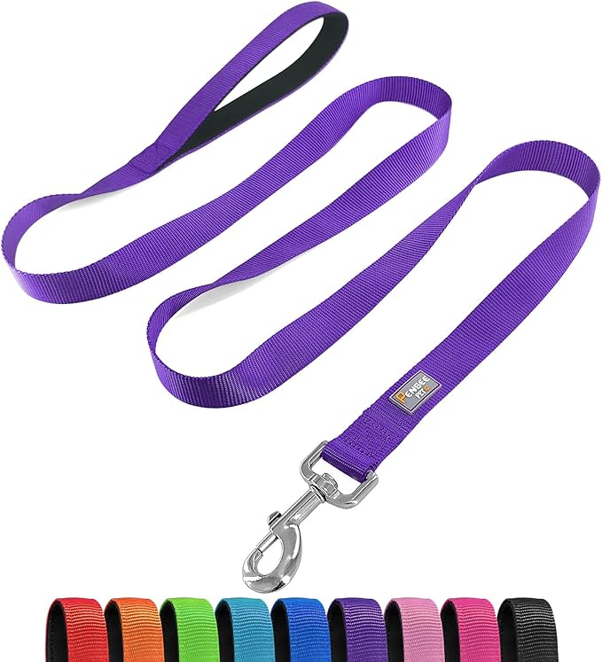 Basic Dog Leashes 6 FT Padded Handle Nylon Dogs Leashes for Medium Dogs Purple