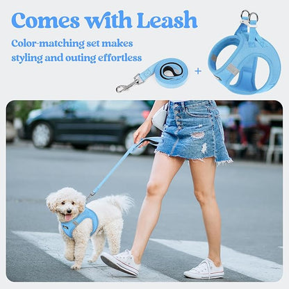 rabbitgoo Dog Harness Small Sized and Leash Set, Step in Soft Light Puppy Vest, Breathable Mesh Pet Harness, Reflective for Safe Easy Walking, Blue XXS