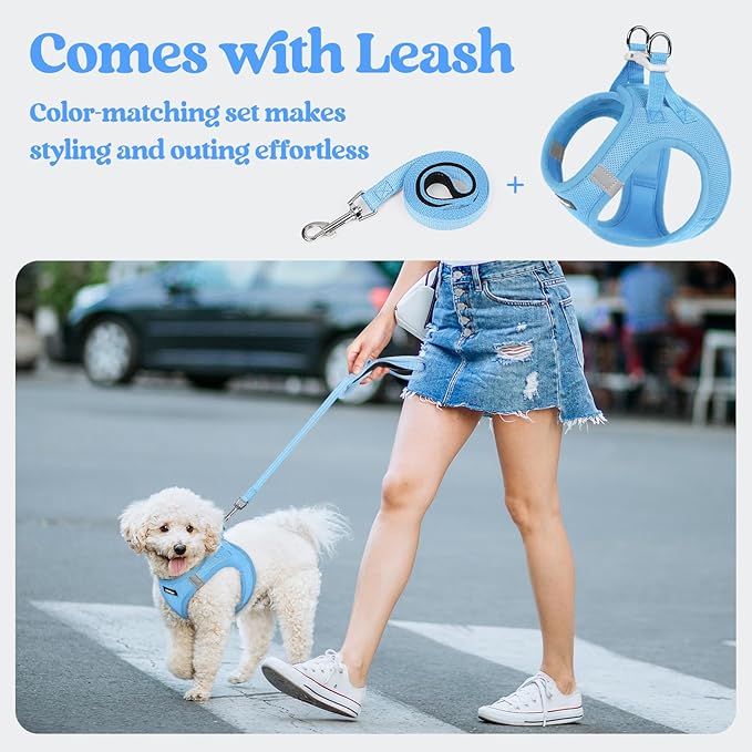 rabbitgoo Dog Harness Small Medium Sized and Leash Set, Step in Soft Light Puppy Vest, Breathable Mesh Pet Harness, Reflective for Safe Easy Walking, Blue L