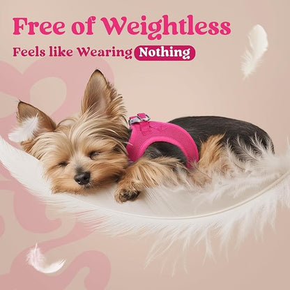rabbitgoo Small Dog Harness, Step-in Soft Mesh Puppy Vest with Safety Buckle, Breathable Reflective Pet Harness for Small Sized Dogs, Rose Red XS