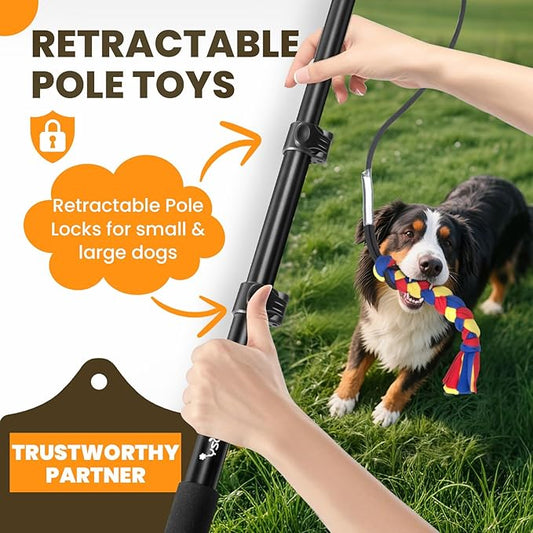 Ycozy Flirt Pole for Dogs Heavy Duty Interactive Toys Tug of War with Detachable 3 Replacement Rope Toys for Chase and Outdoor Exercise & Training for Small Medium Large Dogs (Pole - 40.6")