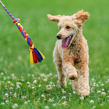 Flirt Pole for Dogs-Interactive Lures Durability Rope,Chase and Tug of war Puppy Toy，Outdoor Dog Agility Training Equipment Plush，Teaser Chew Pet Kits for Small Medium Dogs